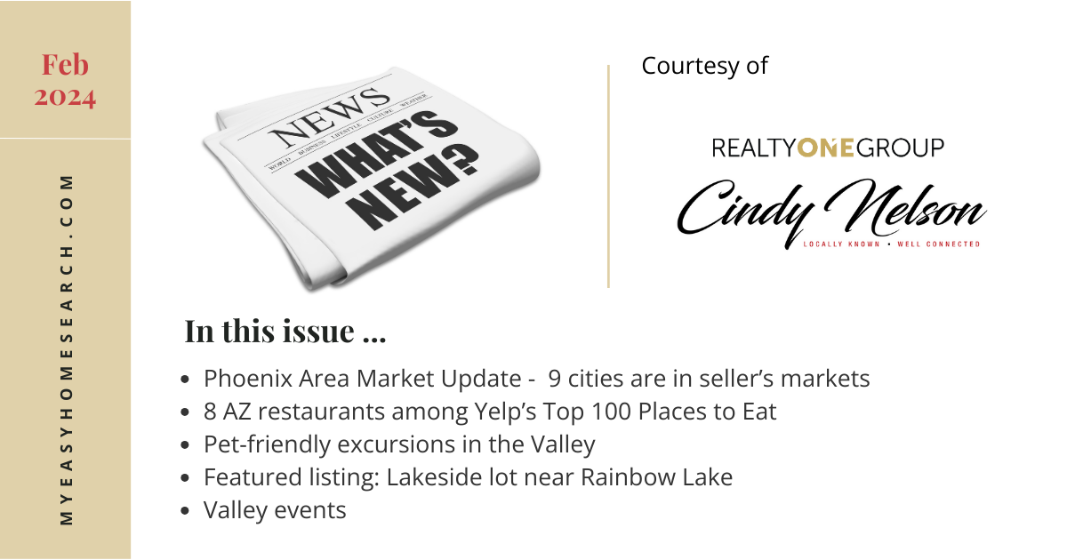 Cindy Nelson AZ REALTOR Newsletter Feb 2024