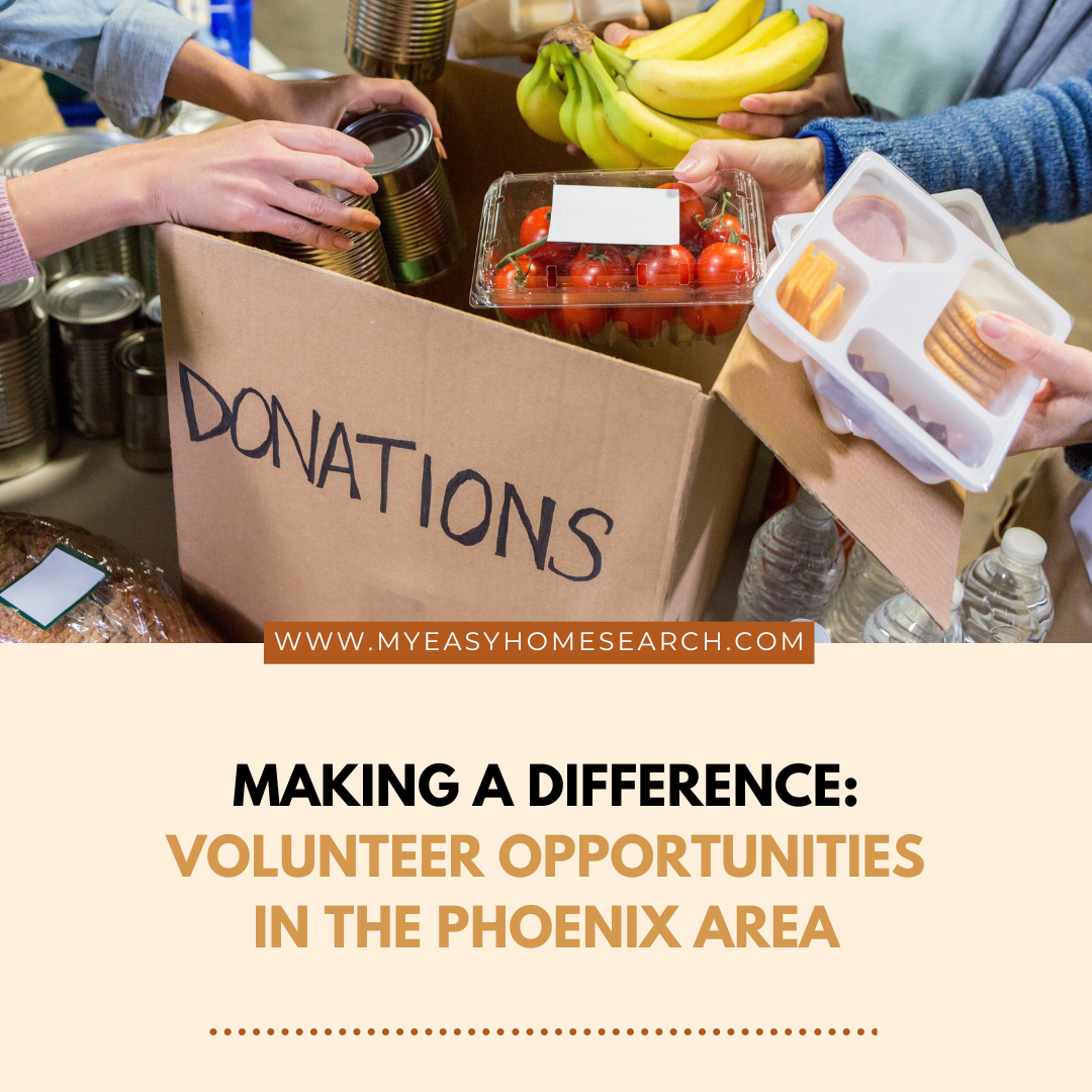 6 Volunteer Opportunities in the Phoenix Area